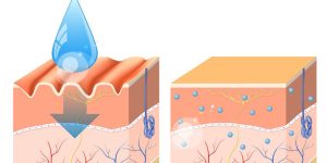 hyaluronic acid diagram